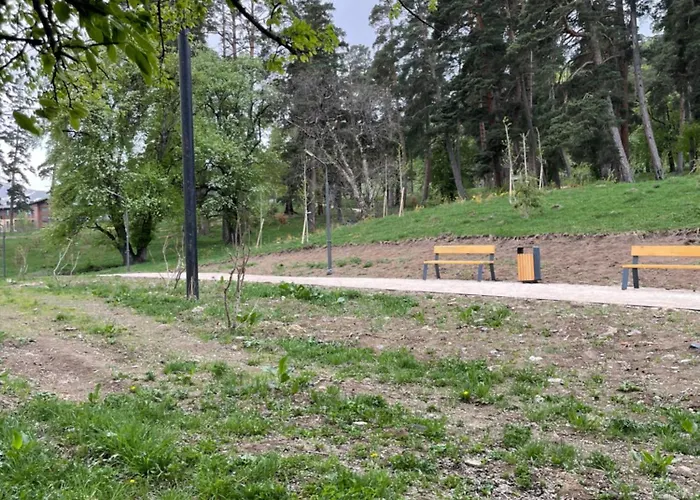 Hillside Bakuriani