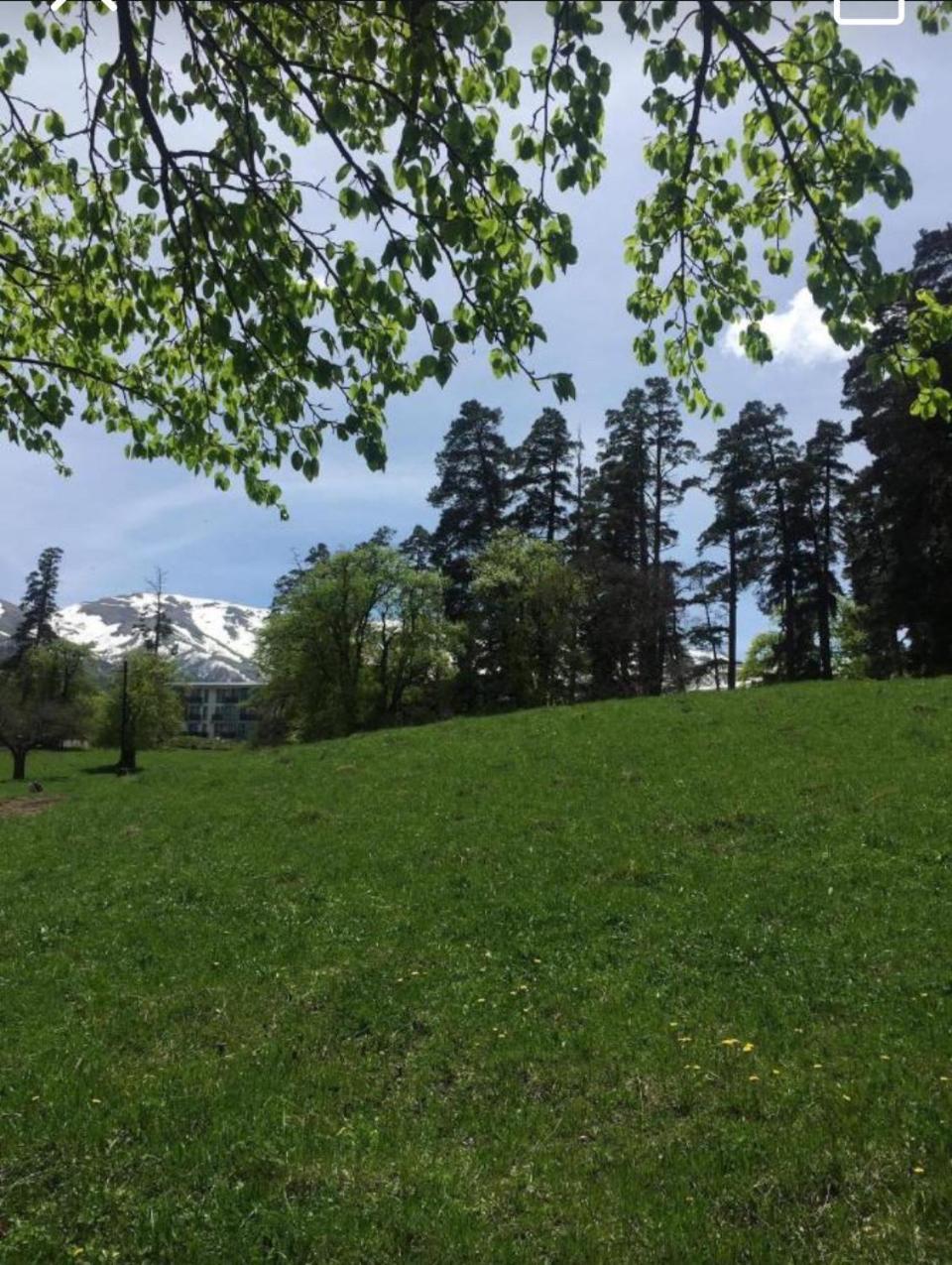 Apartment Hillside